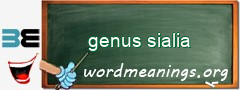 WordMeaning blackboard for genus sialia